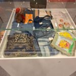 WhatsApp Image 2025-10-09 at 10.46.09