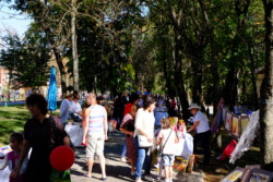 День Ставропольского края