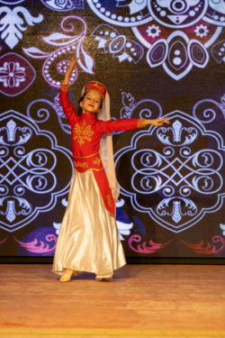 Выступление народного ансамбля национального танца «Элефтерия»