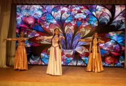 Выступление народного ансамбля национального танца «Элефтерия»