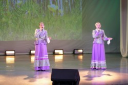 VIII регионального многожанрового конкурса дуэтов «Две Звезды»